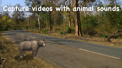 Screenshot #3 pour Wildlife AR