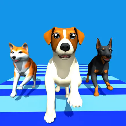 Dog Run Racer - Веселая гонка Читы