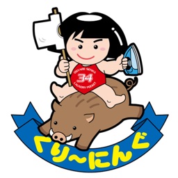 おしゃれ洗科・ランドリーポケット