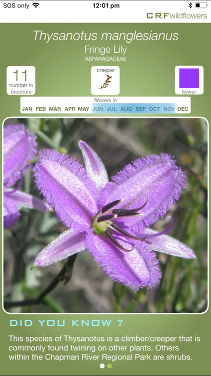 CRFwildflowers screenshot-3