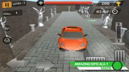 Game screenshot Maze Parking Car High Lever apk