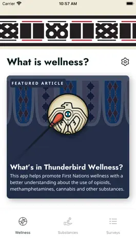 Game screenshot Thunderbird Wellness mod apk