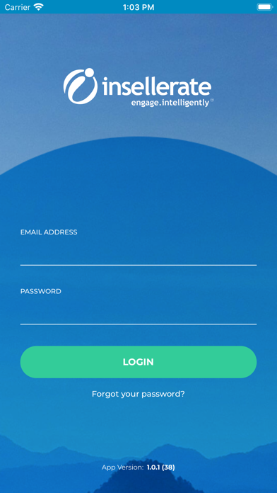Insellerate Screenshot