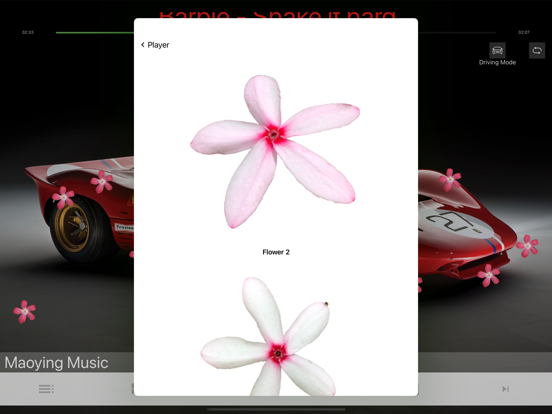 MyIn flower jump music player iPad screenshot 3 - Entertainment app