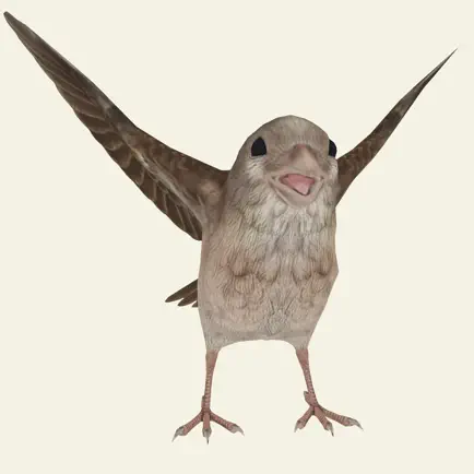 Help the Bird Читы