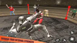 Game screenshot World Robot Fighting: Boxing C apk