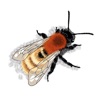 Bee Trail icon