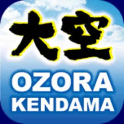 山形工房 けん玉 大空 OZORA KENDAMA Читы