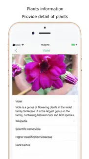 iplant - plant identification iphone screenshot 2
