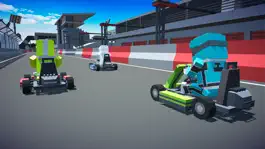 Game screenshot Kart Race: Speed Car hack