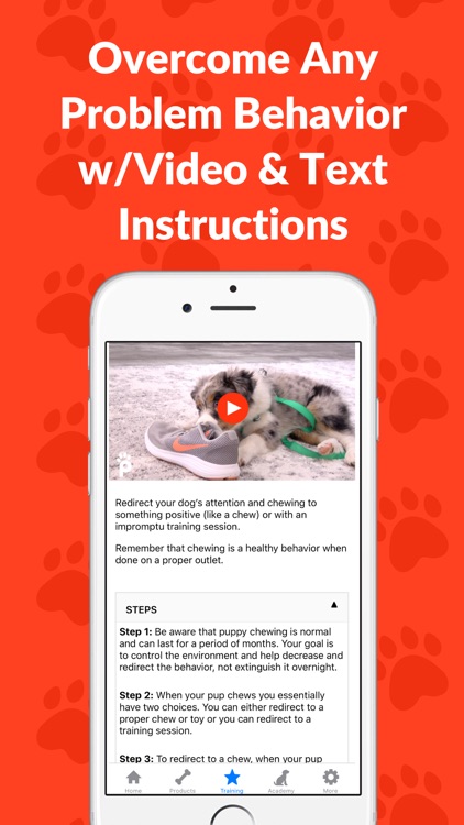 Pupford: Dog & Puppy Training