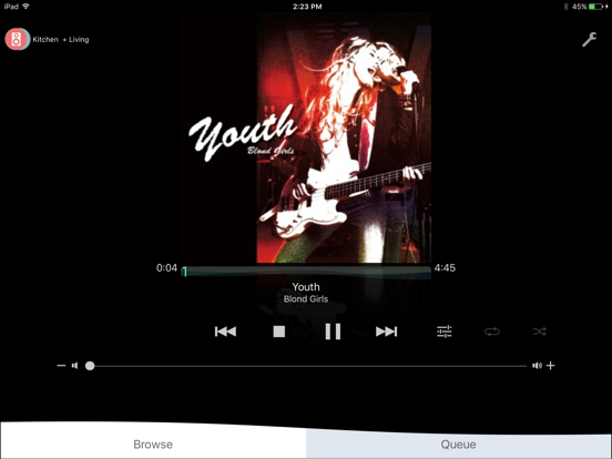 Screenshot #4 pour Panasonic Music Streaming