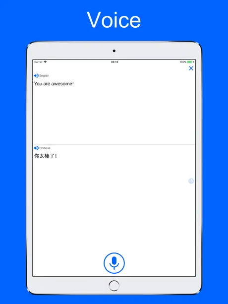 Translate Voice & Dictionary