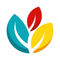 Castanheira Shopping logo