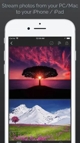 Game screenshot PhotoStreamr Lite mod apk