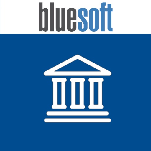 Bluesoft Financeiro