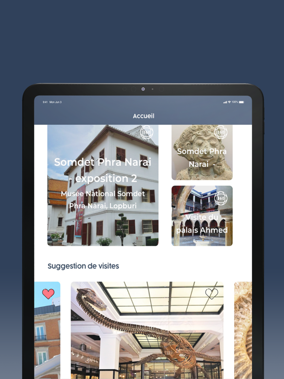 Screenshot #5 pour Virtual Culture Access