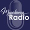 Icon MWBR Radio