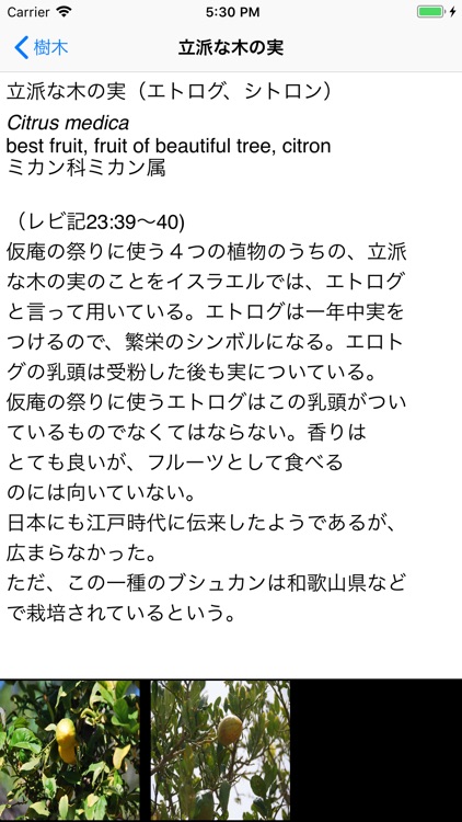 聖書の植物 screenshot-3
