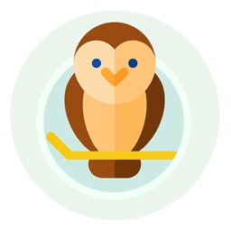 Owlebook