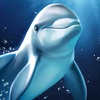 Aqua Blast: Puzzle Adventure - iPadアプリ