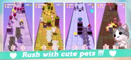 Game screenshot Pet Pet Rush mod apk