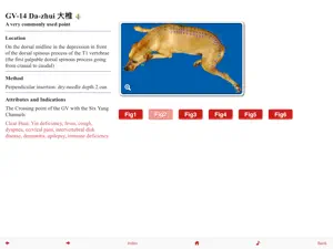 Canine Acupuncture Point HD screenshot 4