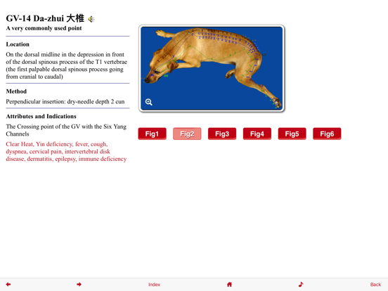 Canine Acupuncture Point HD iPad app afbeelding 4