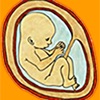 Fetal Kick Count icon