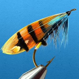 Fly Fishing Guide: Tying Flies