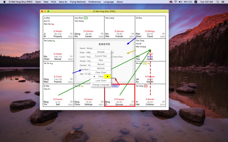 Screenshot #1 pour Zi Wei Feng Shui PRO