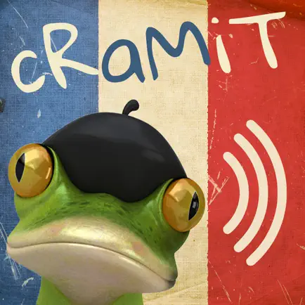 cRaMiT French GCSE Vocabulary Cheats