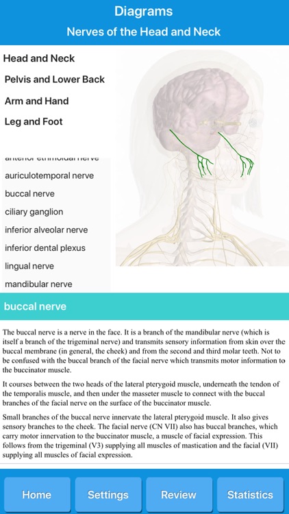 Human Nervous System Anatomy screenshot-3