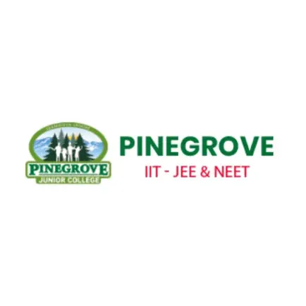 Pinegrove Читы