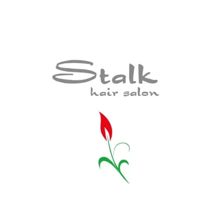 Stalk hair salon Читы