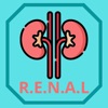 Urology RENAL Nephrometry icon