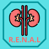 Urology RENAL Nephrometry - Putu Angga Risky Raharja