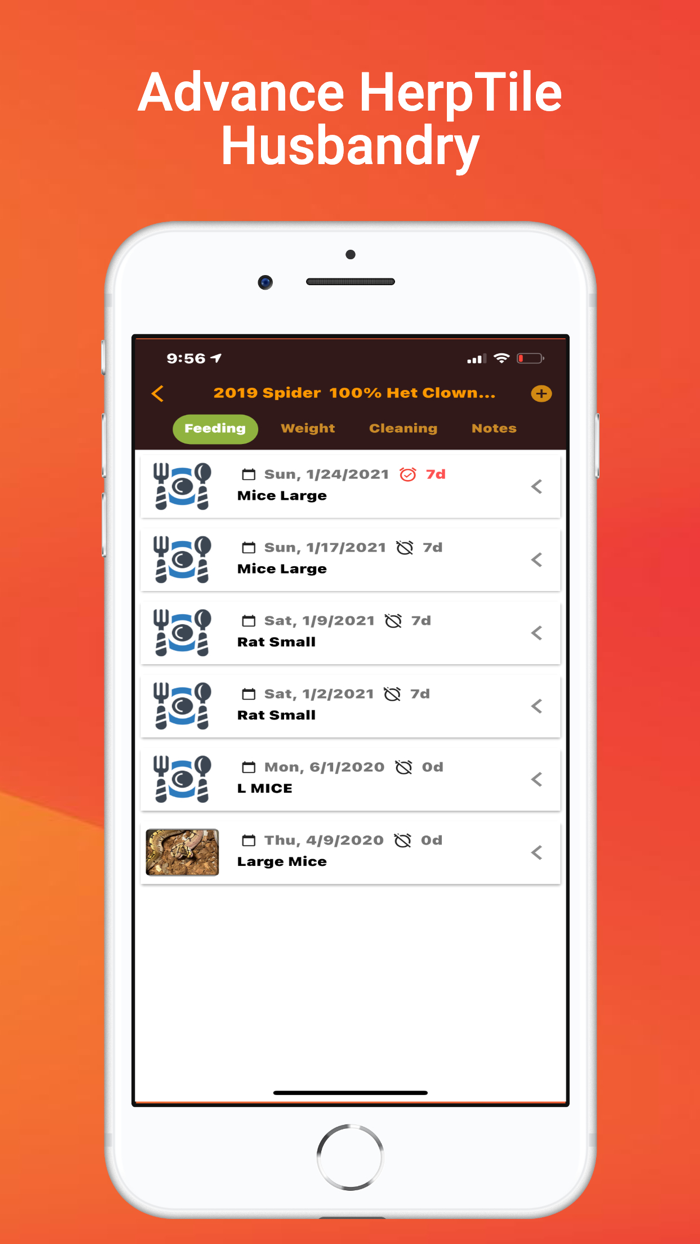 HerpVille Reptile Keep and Trade