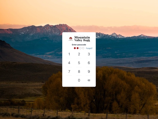 mvbank iPad screenshot 2 - Finance app