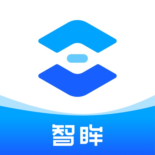 智眸logo