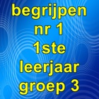 Begrijpen1