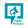 Hello Felican