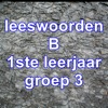 LeeswoordenB LeeswoordenB