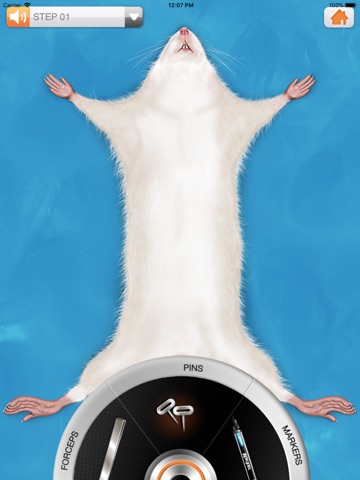 Rat Dissection app screenshot 2