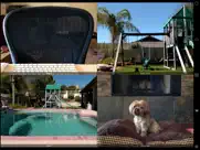 icam pro - webcam streaming ipad resimleri 1