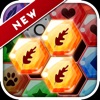 Block Hexa.gon Puzzle.s Games icon