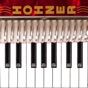 Hohner MIDI Piano Accordion app download