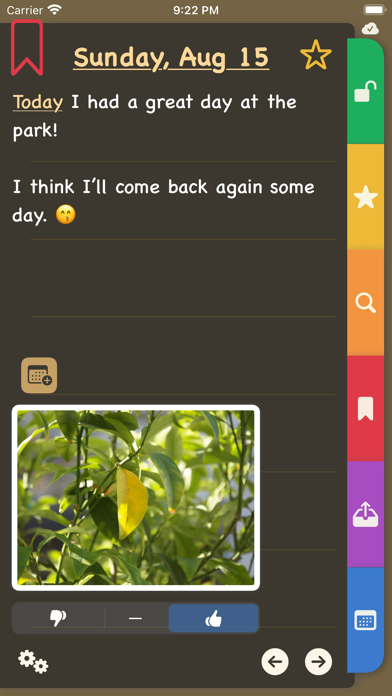 The E-Diary Screenshot