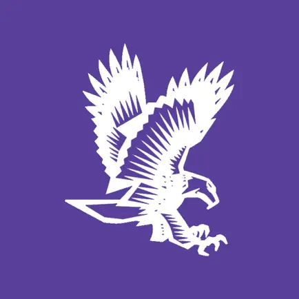 DCS Eagles Читы