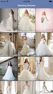 wedding-dresses problems & solutions and troubleshooting guide - 3